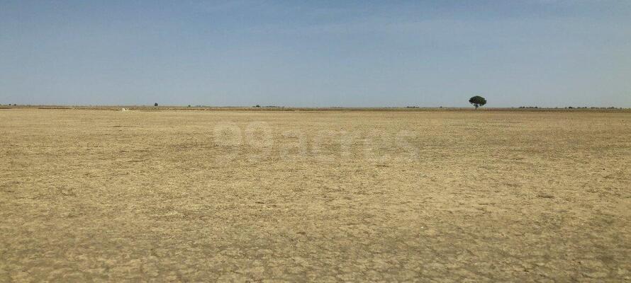 Residential land / Plot in Ranjanpada, Navi Mumbai