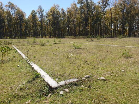 Residential land / Plot in Selakui, Dehradun