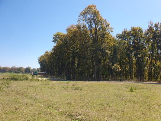 Residential land / Plot in Selakui, Dehradun