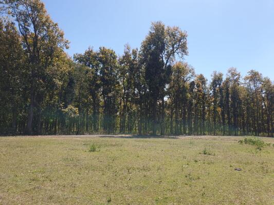 Residential land / Plot in Selakui, Dehradun