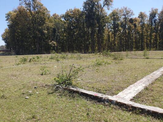 Residential land / Plot in Selakui, Dehradun