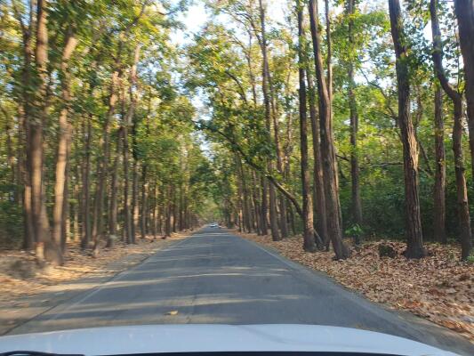 Residential land / Plot in Selakui, Dehradun