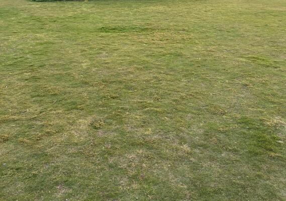 Residential land / Plot in Hingna, Nagpur