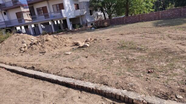 Residential land / Plot in Badowala, Dehradun