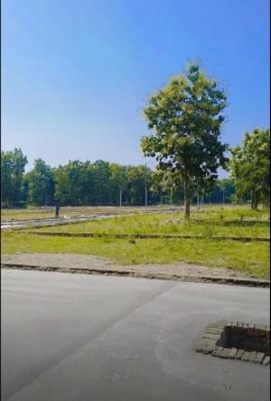 Residential land / Plot in Badowala, Dehradun