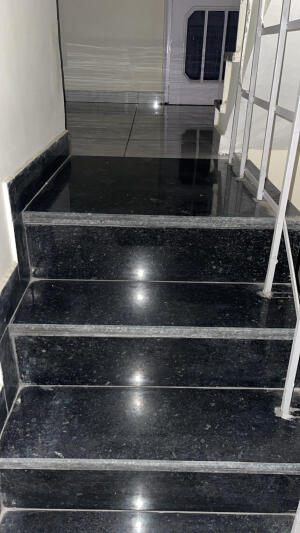 7 Bedroom House in Sector 35 Chandigarh