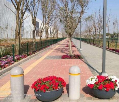4 BHK Flat in Sector 77, Gurgaon