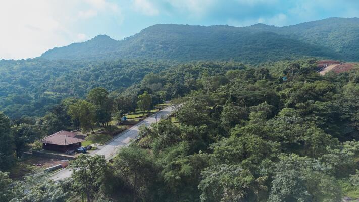 Residential land / Plot in Mulshi, Pune