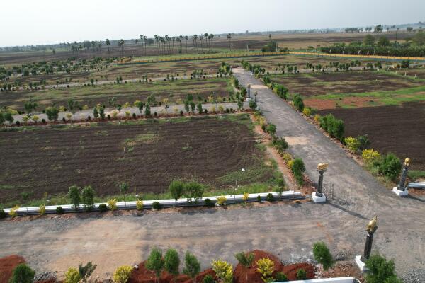 Residential land / Plot in Kantheru, Guntur