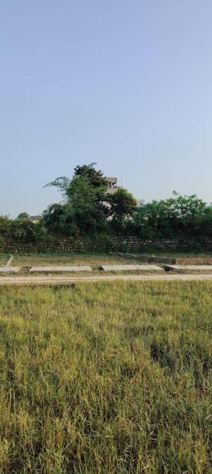 Residential land / Plot in Badowala, Dehradun
