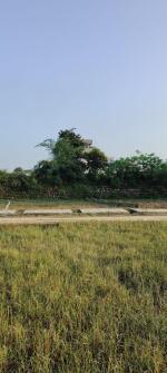 Residential land / Plot in Badowala, Dehradun
