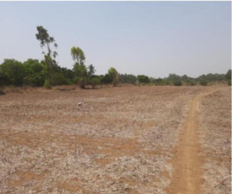 Residential land / Plot in Ranjanpada, Navi Mumbai