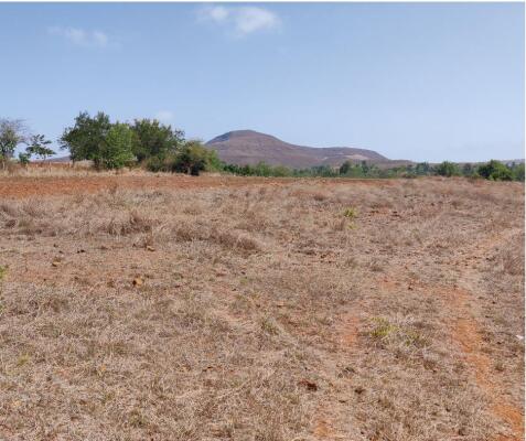 Residential land / Plot in Ranjanpada, Navi Mumbai