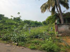 Residential land / Plot in Tuckerammalpuram, Tirunelveli