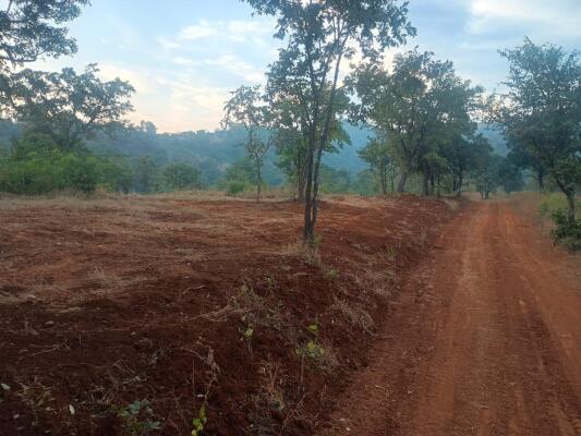 Residential land / Plot in Velhe, Pune