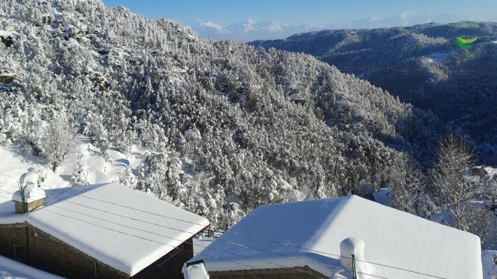 1 BHK Flat in Mukteshwar, Nainital