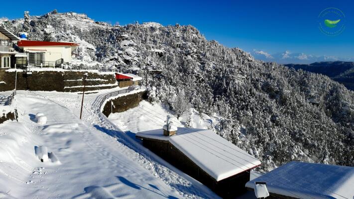 1 BHK Flat in Mukteshwar, Nainital