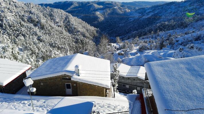 1 BHK Flat in Mukteshwar, Nainital