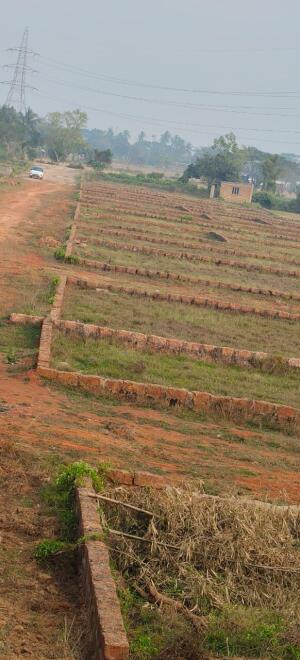 Residential land / Plot in Pipili, Puri