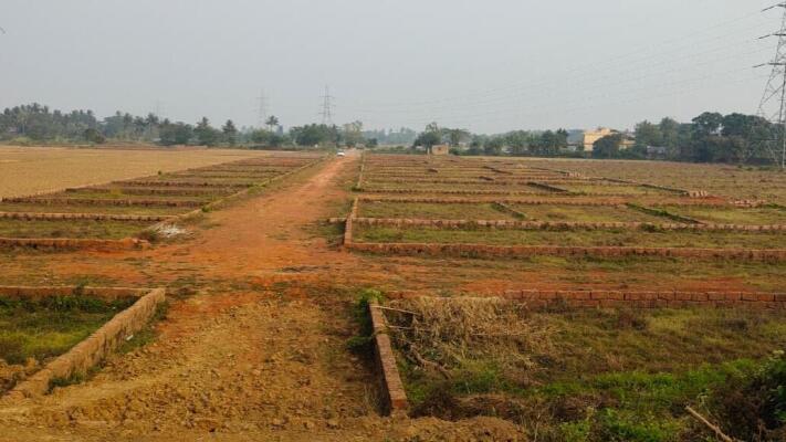 Residential land / Plot in Pipili, Puri