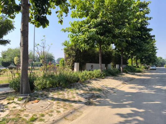 Residential land / Plot in Sector 109 Mohali