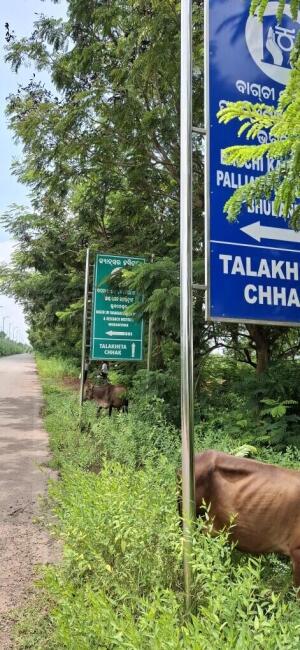 Residential land / Plot in Janla, Bhubaneswar