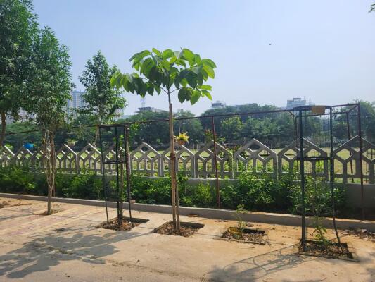 Residential land / Plot in Chi Phi, Greater Noida