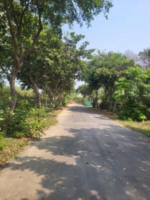 Residential land / Plot in Chi Phi, Greater Noida