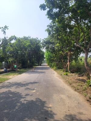 Residential land / Plot in Chi Phi, Greater Noida
