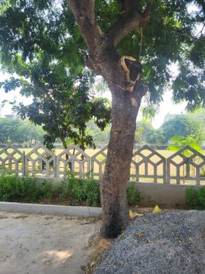 Residential land / Plot in Chi Phi, Greater Noida