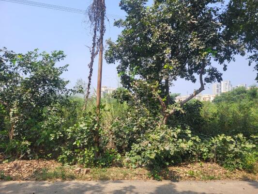 Residential land / Plot in Chi Phi, Greater Noida
