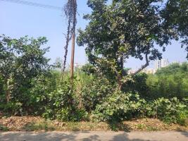 Residential land / Plot in Chi Phi, Greater Noida