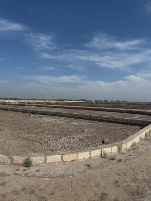 Residential land / Plot in Dholera, Ahmedabad