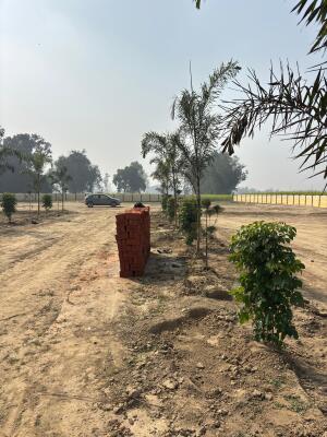 Residential land / Plot in Gosainganj, Lucknow