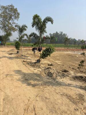 Residential land / Plot in Gosainganj, Lucknow