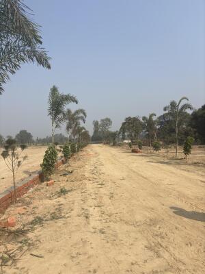 Residential land / Plot in Gosainganj, Lucknow