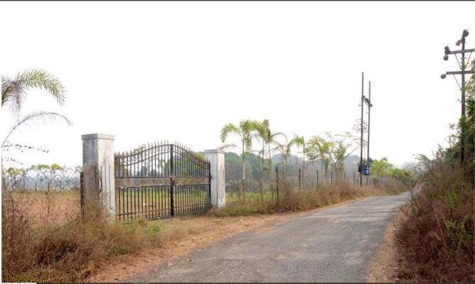 Residential land / Plot in Alibaug, Raigad