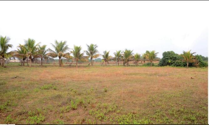 Residential land / Plot in Alibaug, Raigad