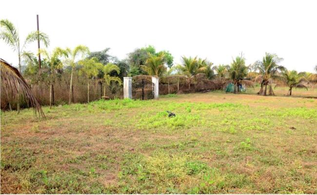 Residential land / Plot in Alibaug, Raigad