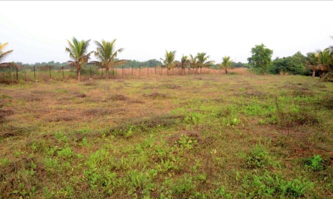 Residential land / Plot in Alibaug, Raigad