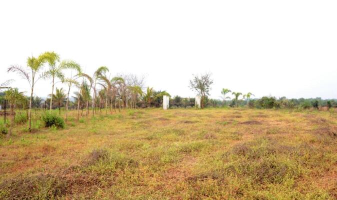 Residential land / Plot in Alibaug, Raigad