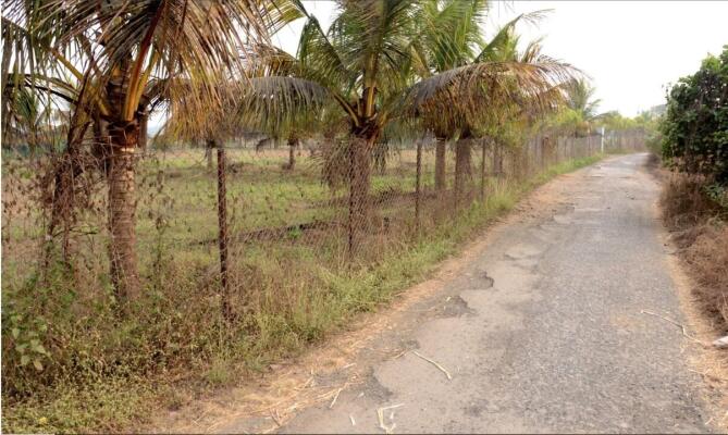 Residential land / Plot in Alibaug, Raigad