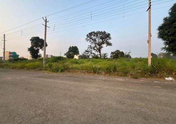 Residential land / Plot in Pinjore, Panchkula