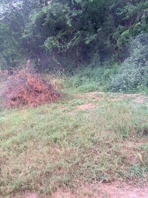 Residential land / Plot in Pinjore, Panchkula