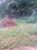 Residential land / Plot in Pinjore, Panchkula