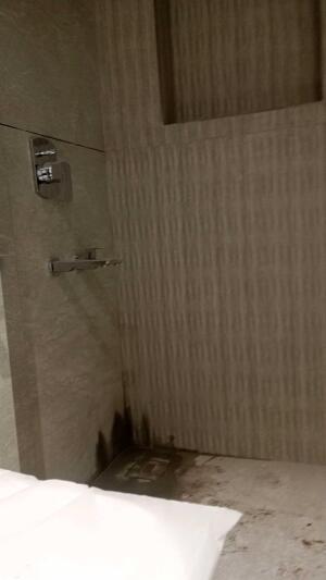 3 BHK Flat in Sector 9 Rohini, Delhi