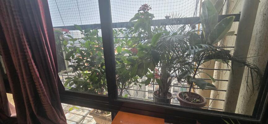 2 BHK Flat in Sector 22 Kamothe, Navi Mumbai