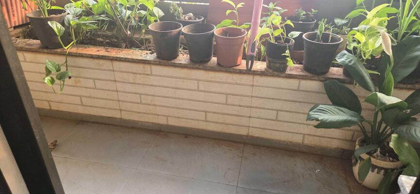 2 BHK Flat in Sector 22 Kamothe, Navi Mumbai