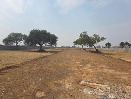 Residential land / Plot in Mandir Hasaud, Raipur