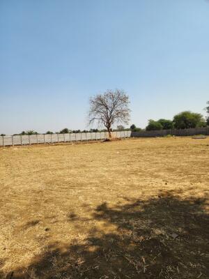 Residential land / Plot in Mandir Hasaud, Raipur